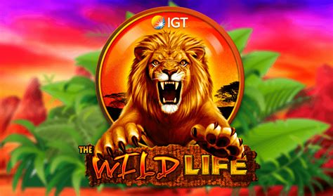 wild life slot online|Wild Life Slot Online .